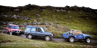 JMJ-Greenlaning.jpg